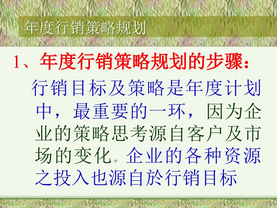 {年度计划}ff年度行销策略规划_第3页