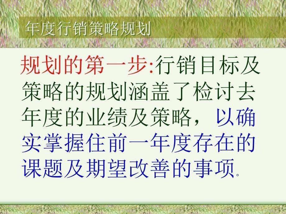 {年度计划}ff年度行销策略规划_第5页