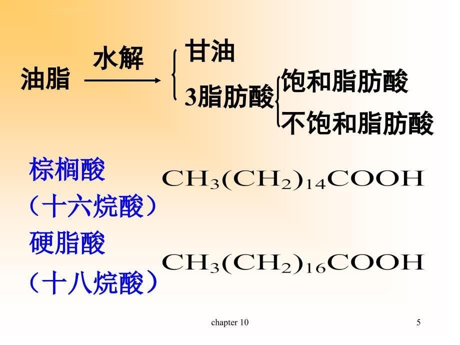 第10章脂类化合物双语课件_第5页