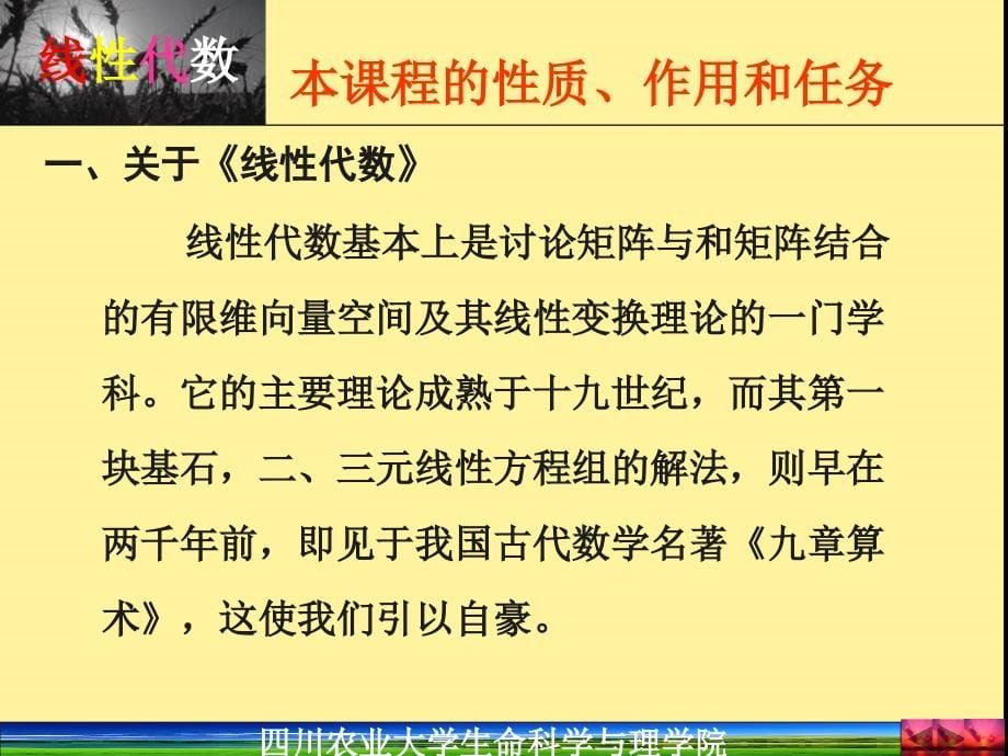 {电子公司企业管理}线性代数电子讲义某某某年_第5页