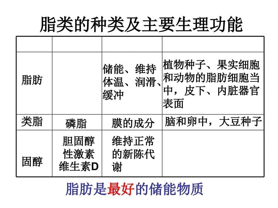 沪科版生命科学高一上22《生物体中的有机化合物》PPT课件11_第5页