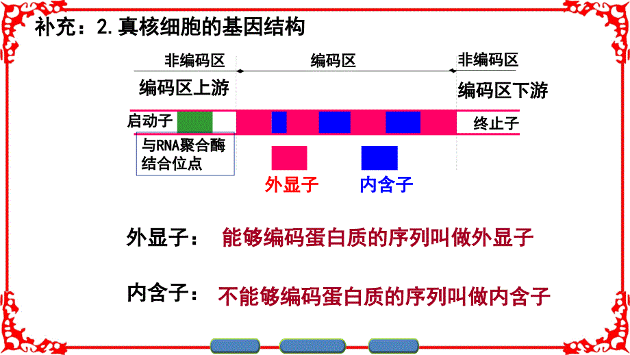 {城乡园林规划}基因工程的操作过程_第4页