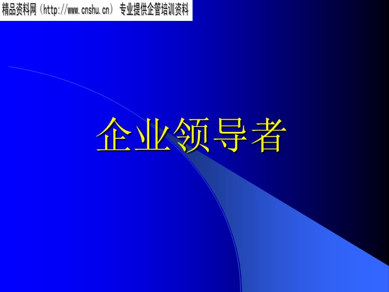 {领导管理技能}企业领导者综合论述_第1页