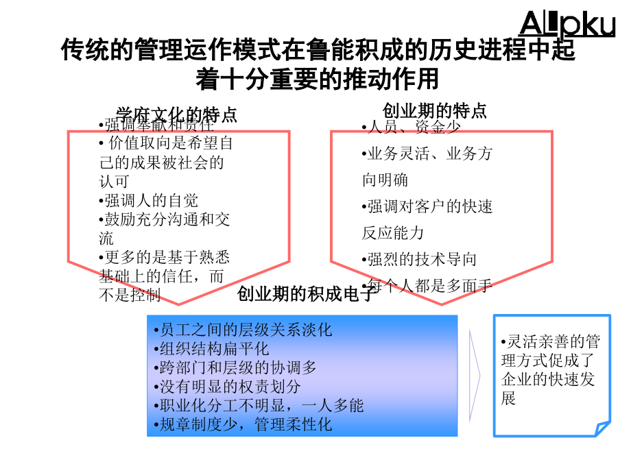 {内部管理}某咨询鲁能战略梳理内部管理诊断报告_第4页