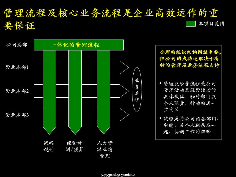 {企业管理手册}某股份公司管理流程手册_第2页