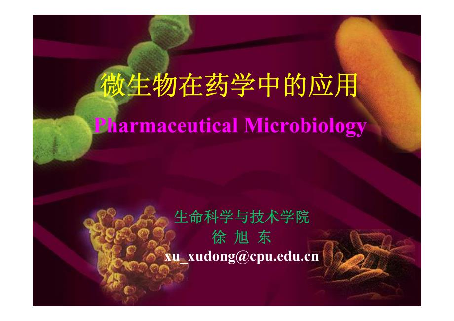 17.微生物学在药学中的应用.pdf_第1页