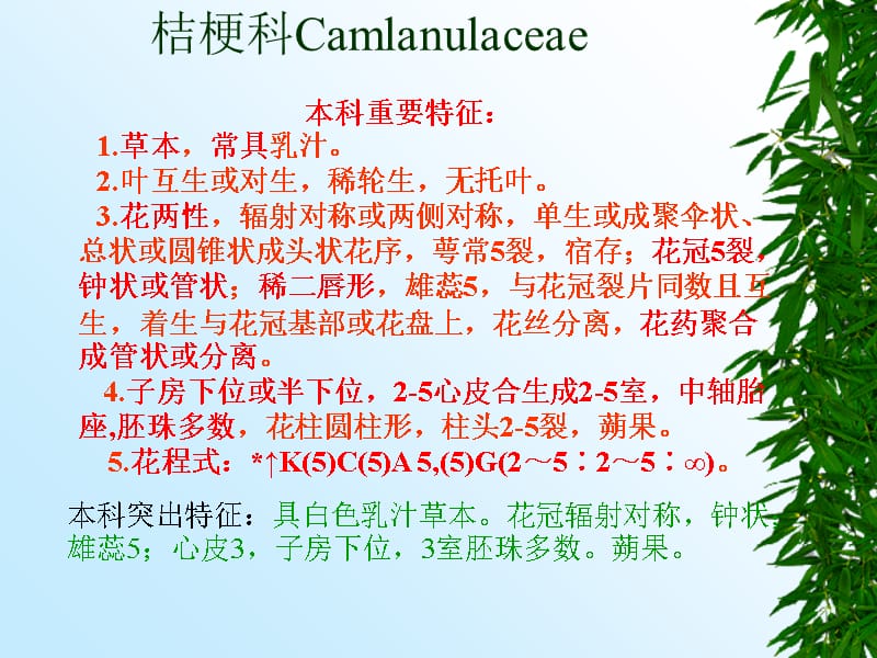 桔梗科Camlanulaceae培训课件_第1页