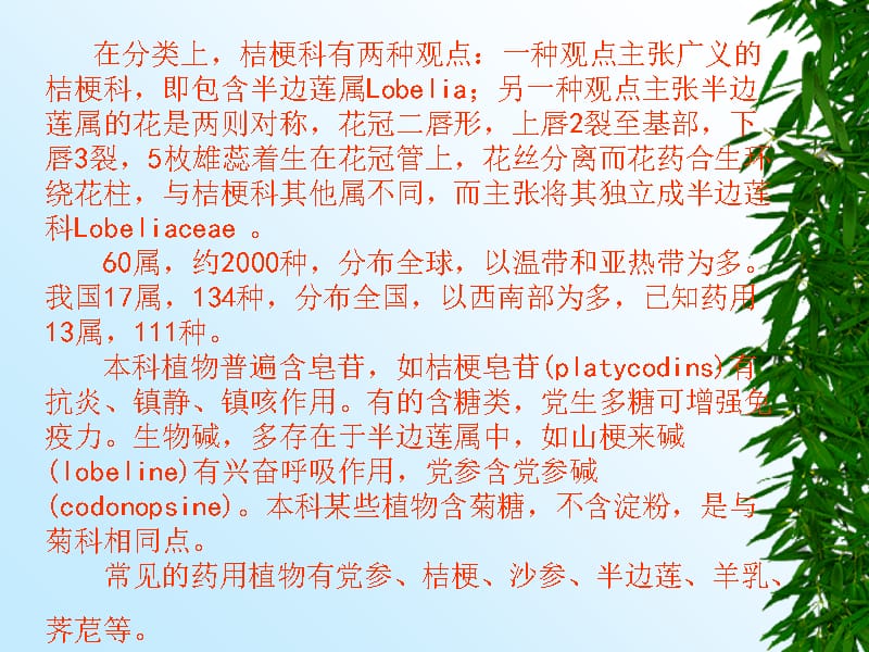 桔梗科Camlanulaceae培训课件_第2页