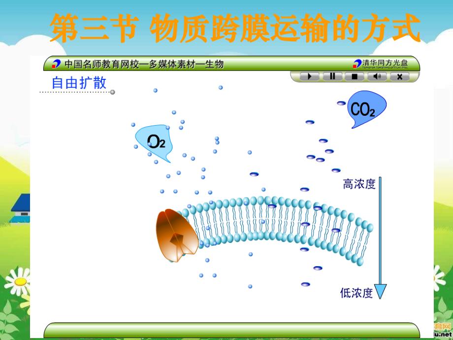 开高一生物物质跨膜运输的方式3教材课程_第4页