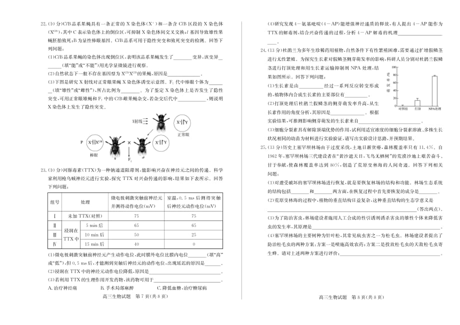 山东省德州市2020届高三上学期期末质量检测 生物（PDF版）_第4页