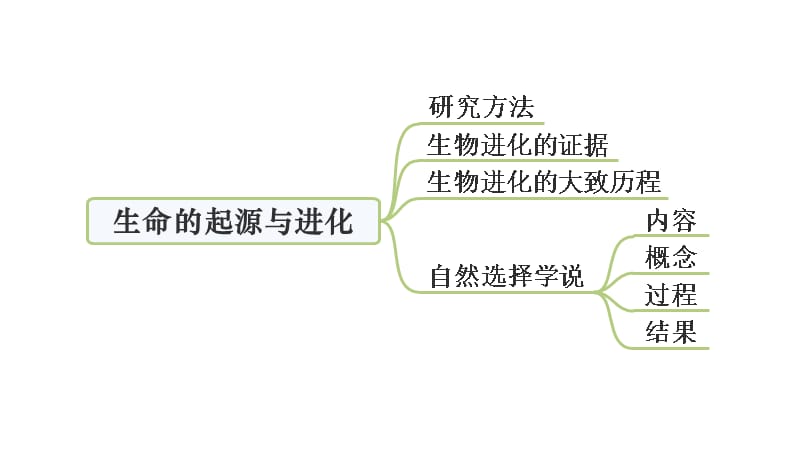 中考生物复习专题六 生物圈中生命的延续和发展思维导图.ppt_第5页