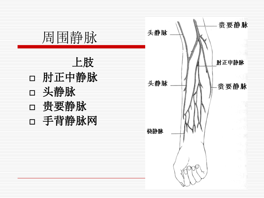 护理学基础输液和输血的护理共68页文档_第4页