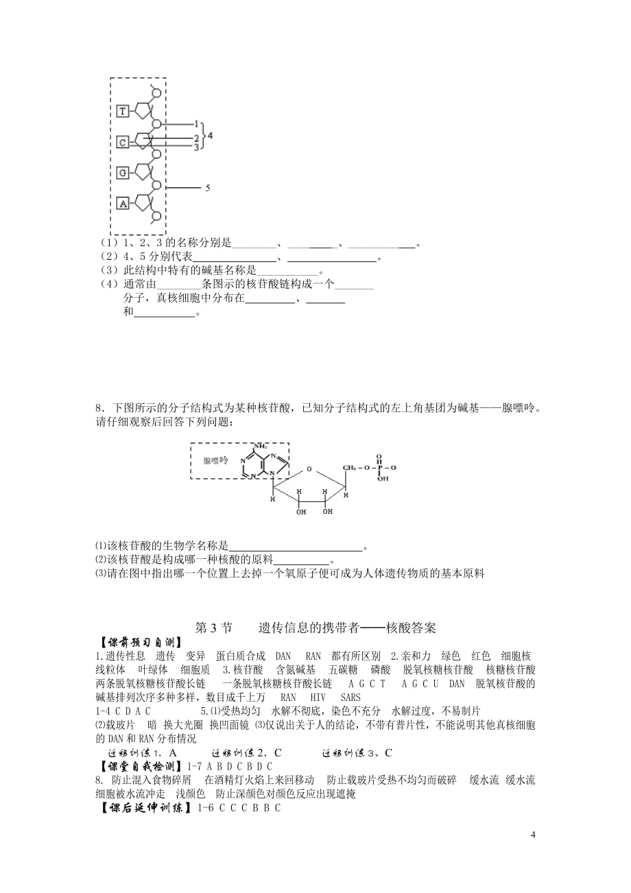 高中生物《遗传信息的携带者--核酸》学案7 新人教版必修1.doc_第4页