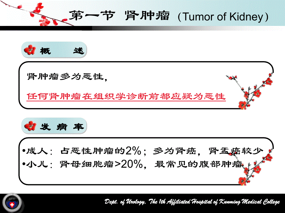 《肾肿瘤》-精选课件（公开PPT）_第4页