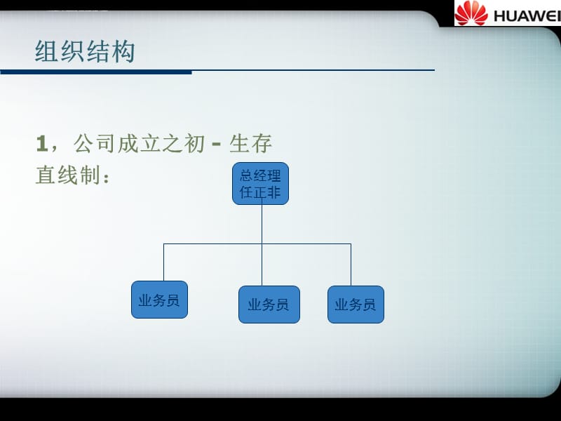 华为公司战略实施资料_第5页