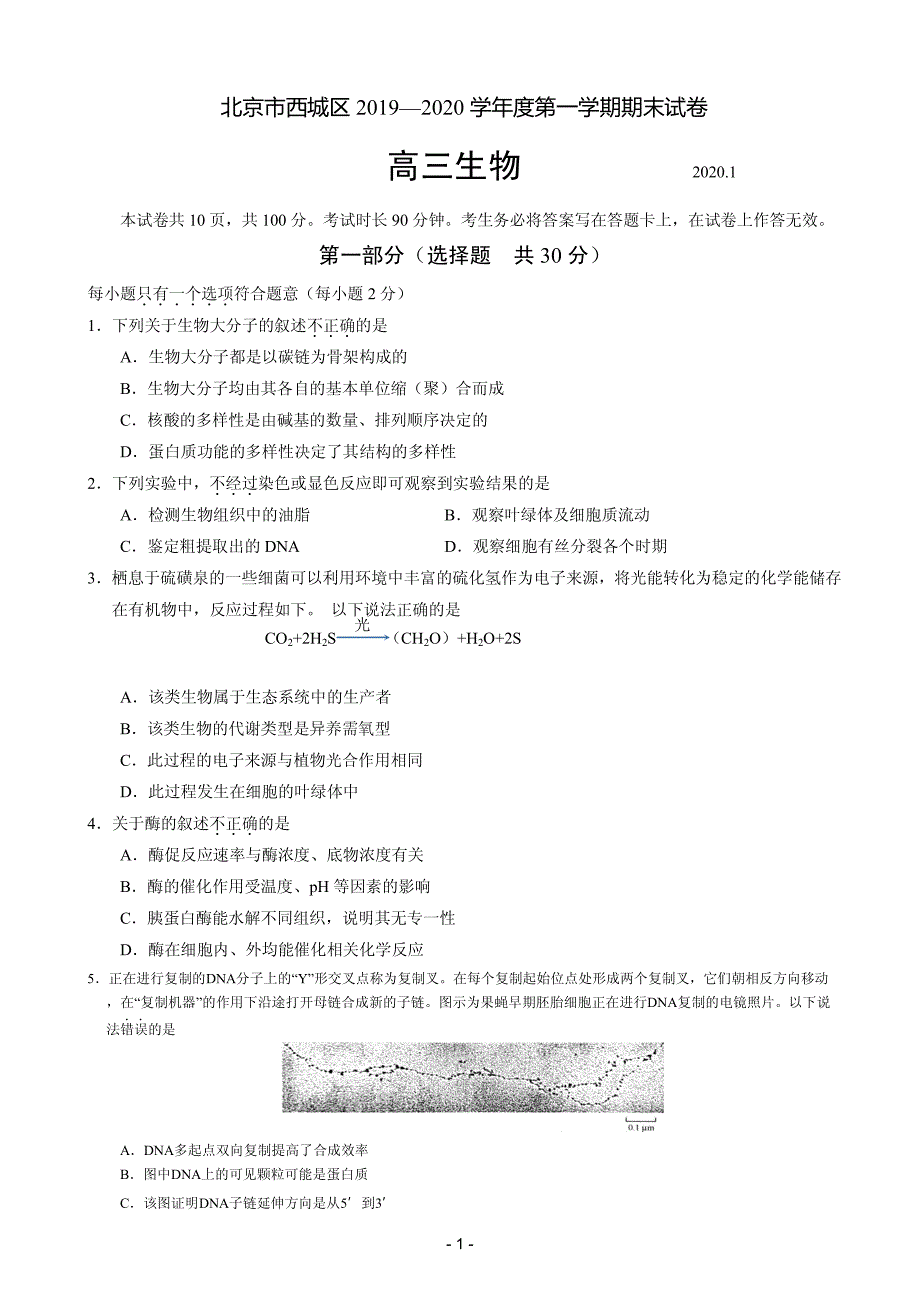 北京市西城区2020届高三上学期期末考试 生物（PDF版）_第1页