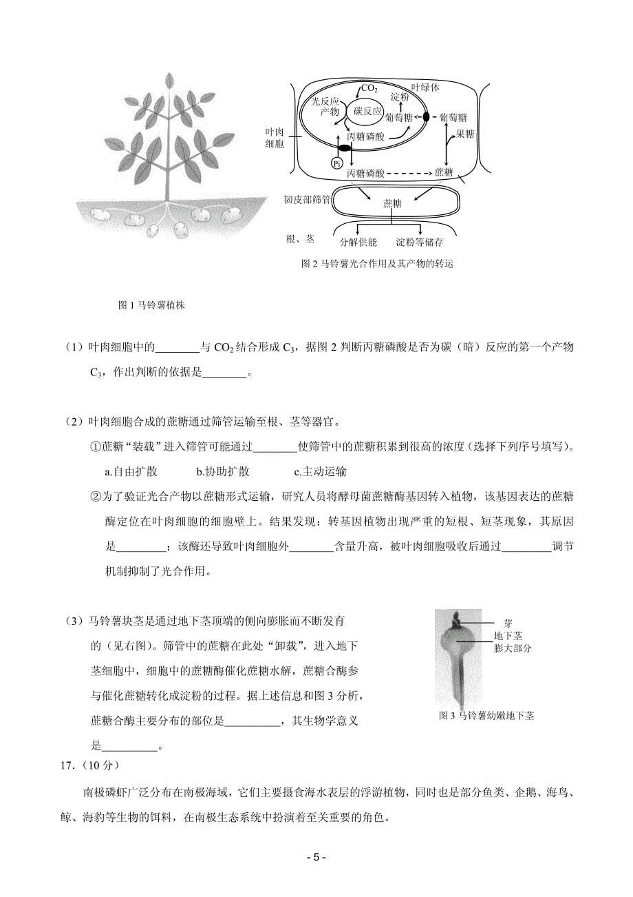 北京市西城区2020届高三上学期期末考试 生物（PDF版）_第5页