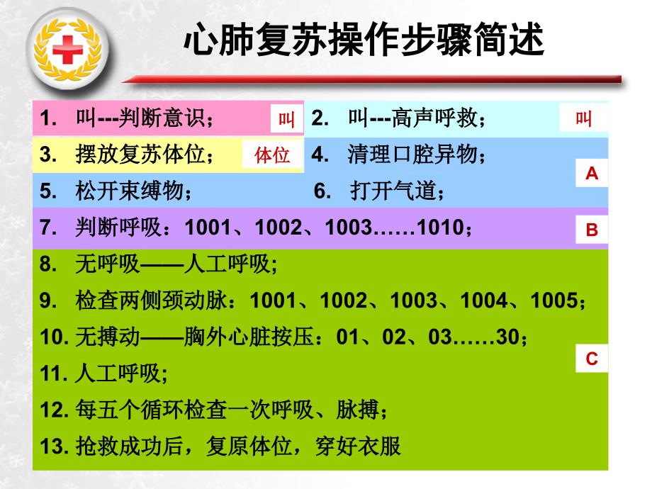 广西红十字会救护训练中心现场救护知识培训心肺复苏术海氏教材课程_第3页