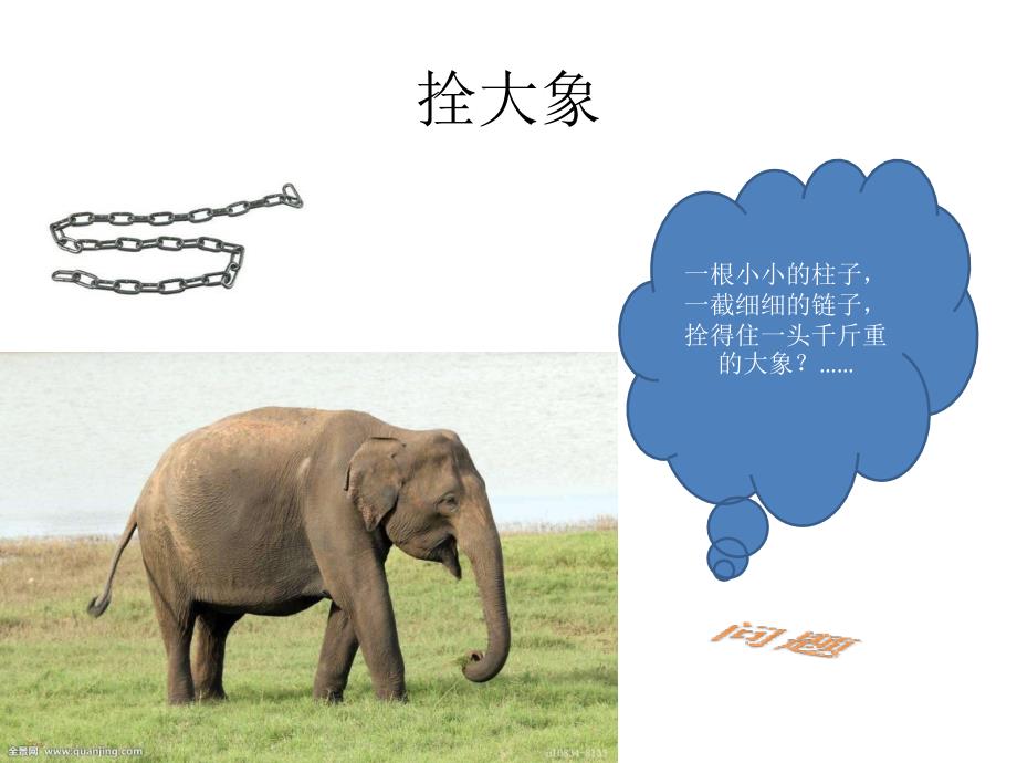 安全小故事-大象与老虎_第2页