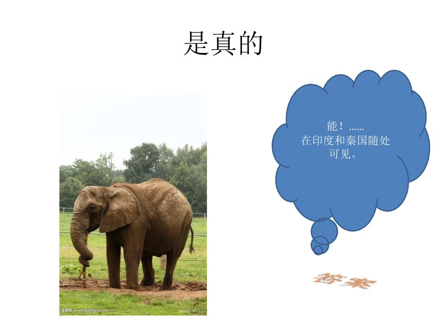 安全小故事-大象与老虎_第3页