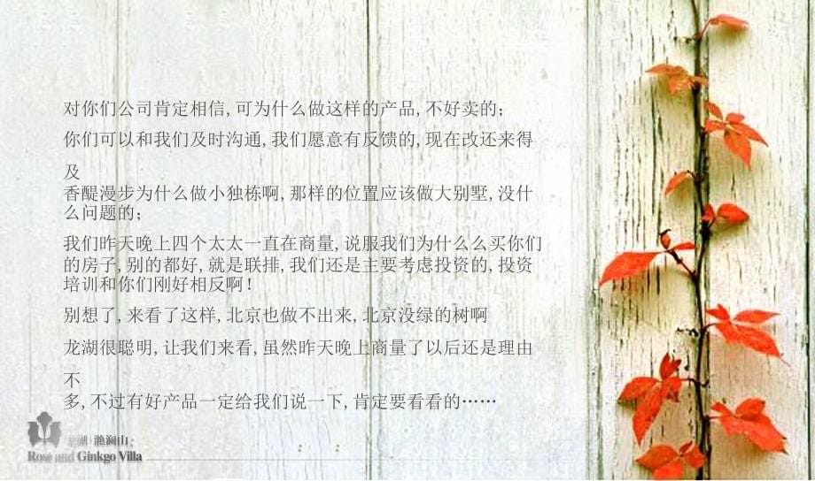 北京龙湖艳澜山全案营销策划报告2007年_第5页