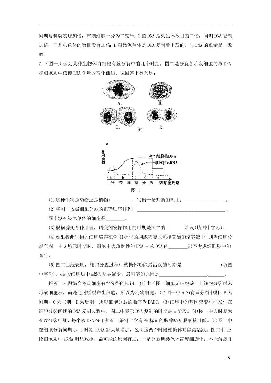 2013届高考生物考点精讲精析 细胞增殖、细胞分化 新人教版.doc_第5页