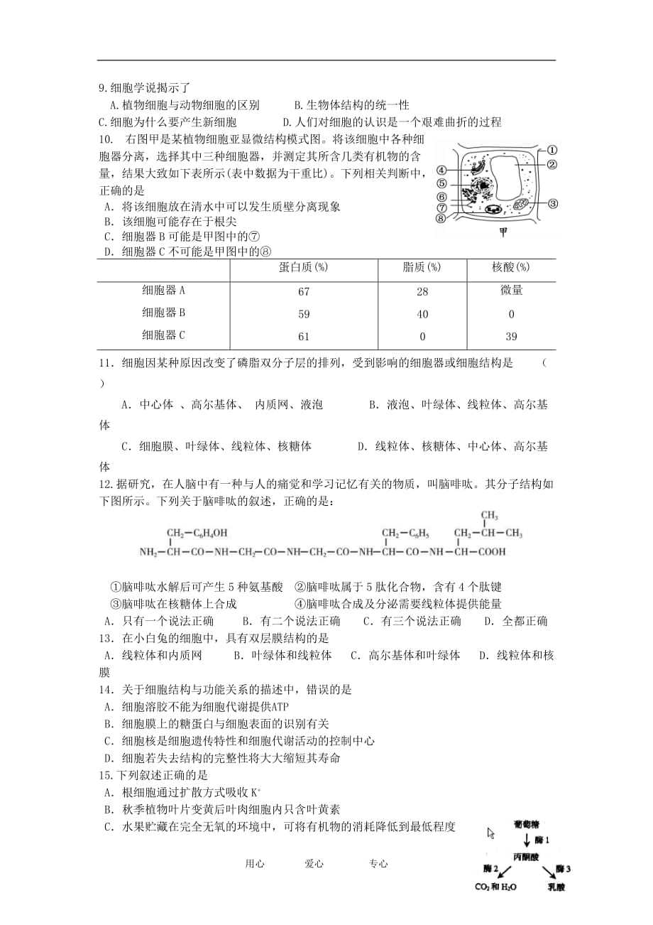 浙江省新安江2012-2013学年高二生物上学期期中考试试题浙科版.doc_第2页