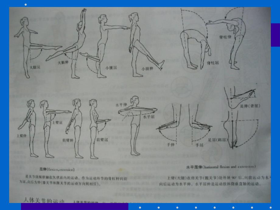 关活动度训练讲解学习_第2页