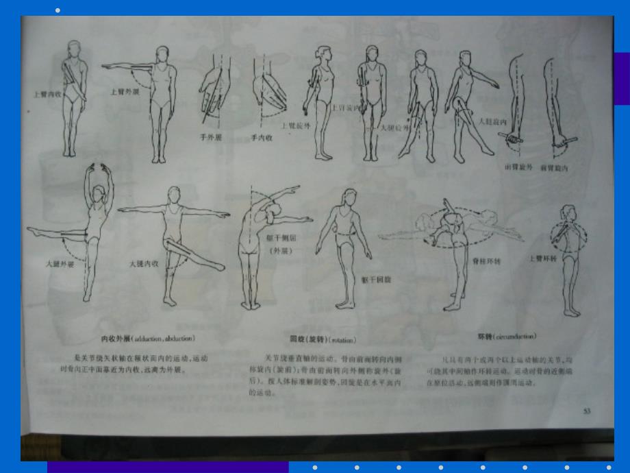 关活动度训练讲解学习_第3页