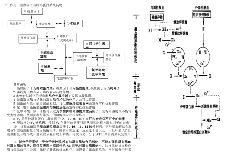 抗血小板抗凝机理及药物作用点.doc_第2页