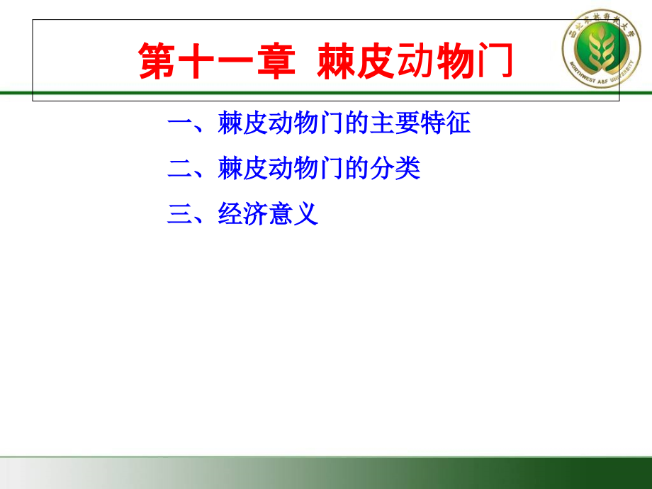 棘皮、半索、脊索动物门、园口纲教学内容_第3页