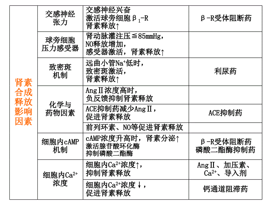 《肾素血管紧张素系统药理》-精选课件（公开PPT）_第3页