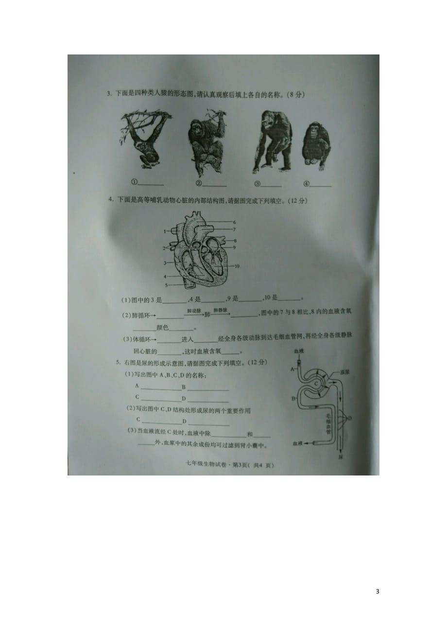 青海省省西宁市七年级生物下学期期末考试试题（扫描版）新人教版_第3页