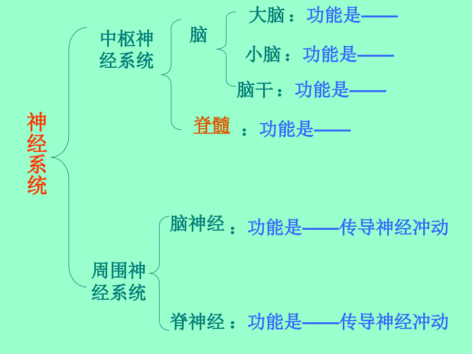 《神经系统的组成3》-精选课件（公开PPT）_第2页