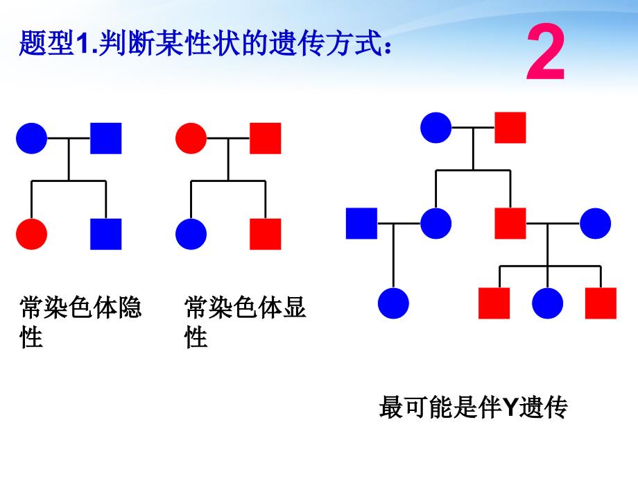 伴性遗传(方法判断).ppt_第3页