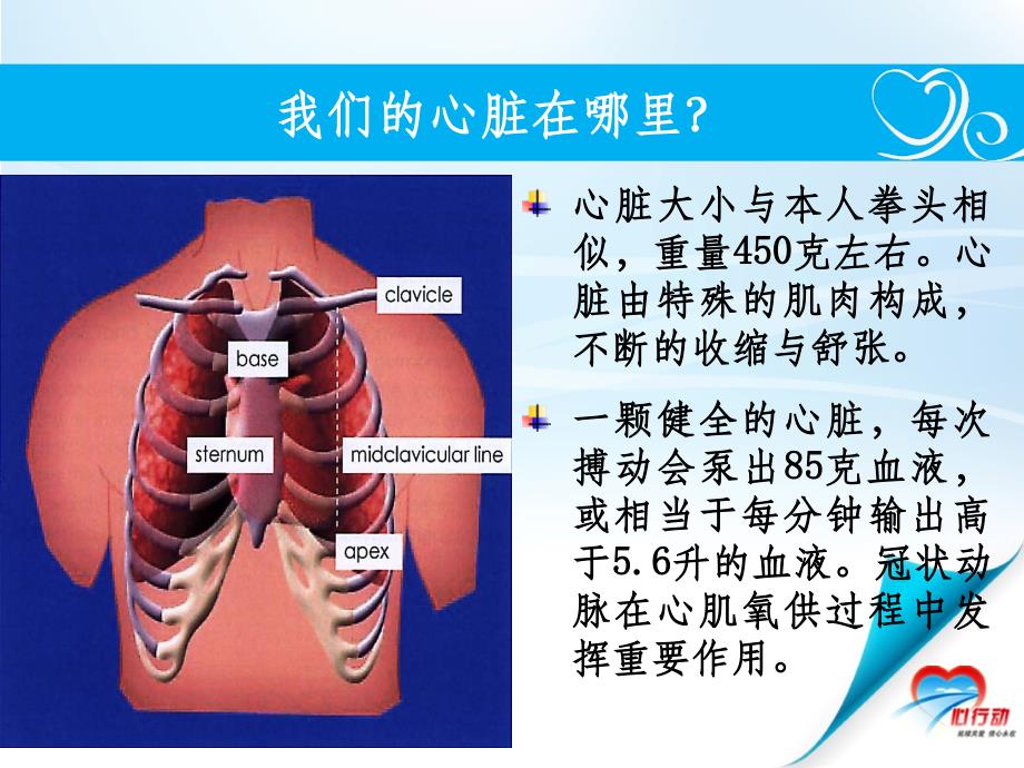 冠心病健康教育最新版本ppt课件_第4页