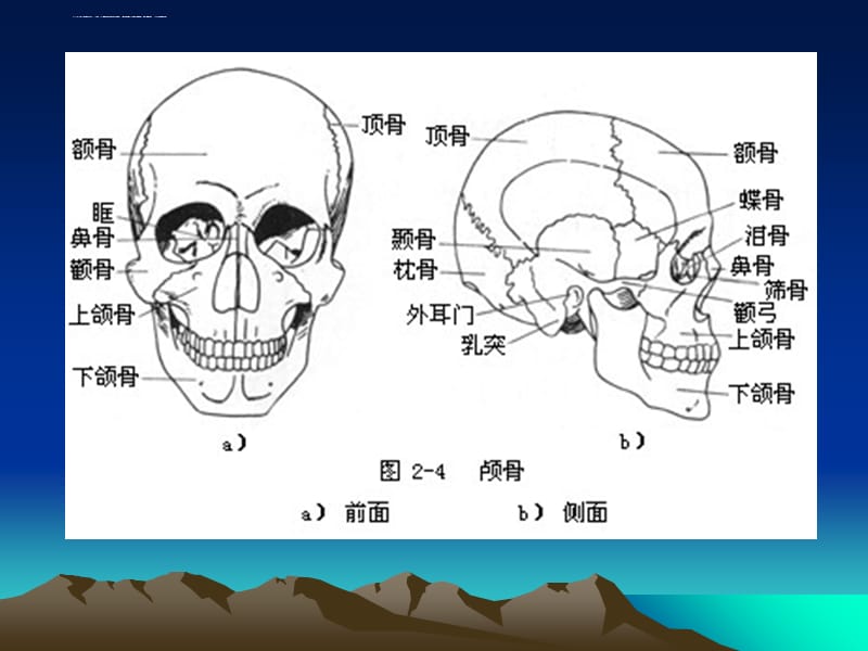 口腔颌面医学CT诊_第5页