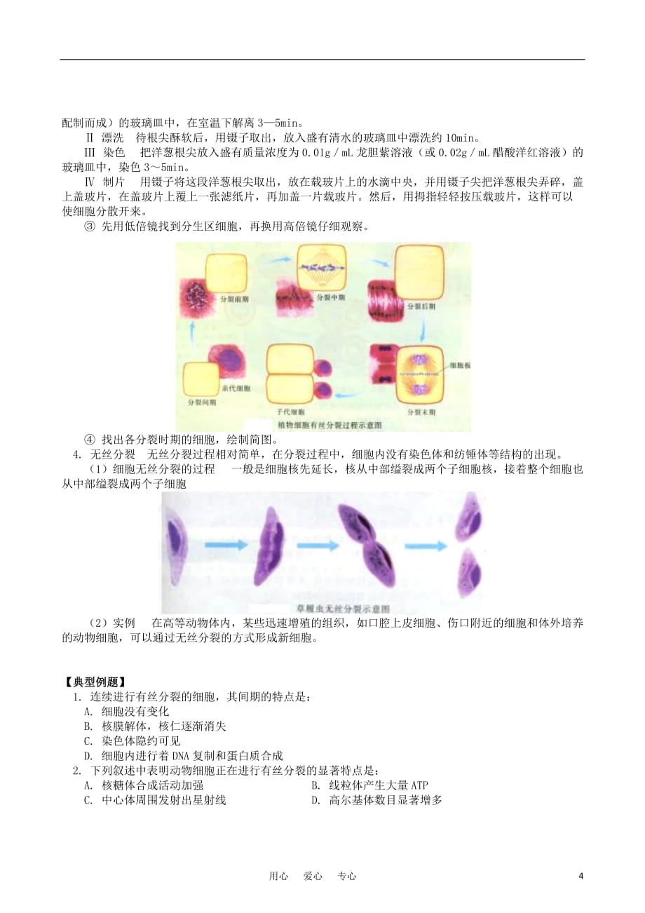 2011－2012学年高中生物 第五章 第一节 细胞增殖同步练习 苏教版必修1.doc_第4页