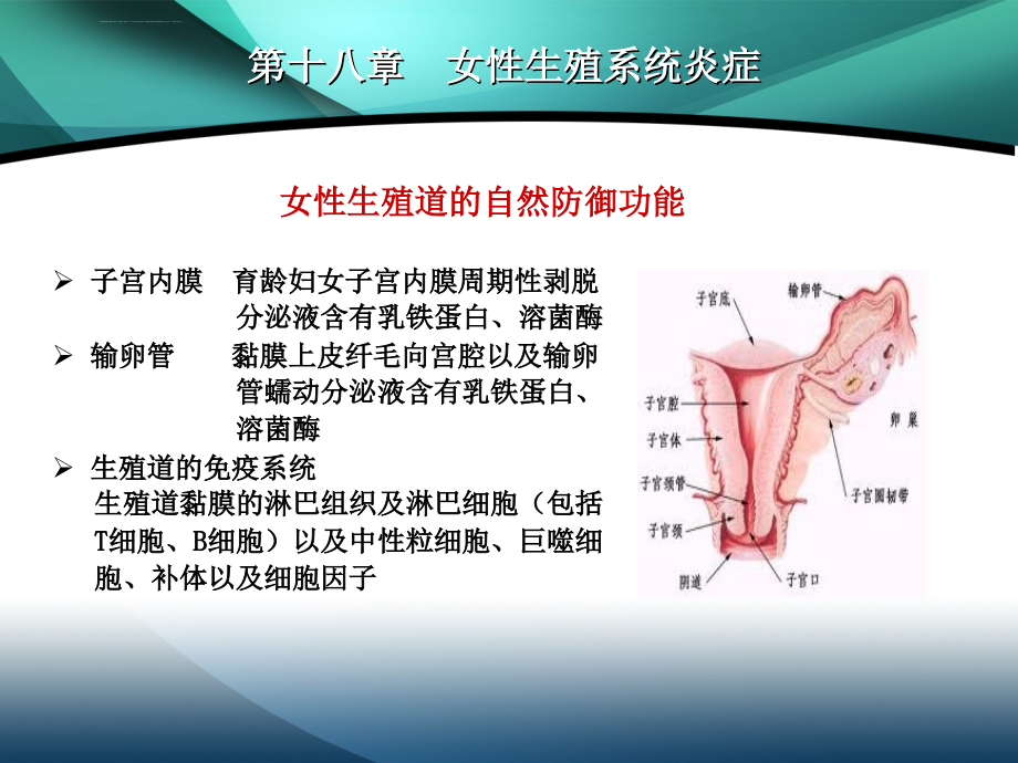 妇产科学ppt八年制18章_第4页