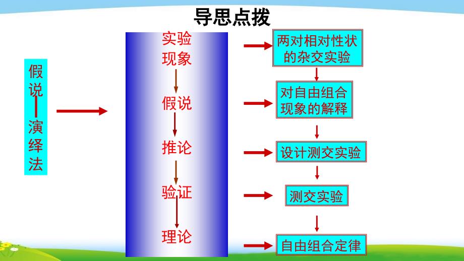 《孟德尔的豌豆杂交实验（二）》 教学PPT课件【人教版高中生物必修2】_第4页