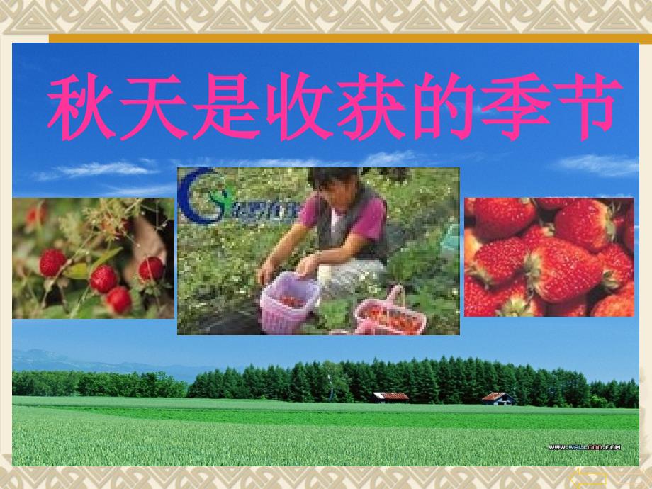 《除法的初步认识》ppt课件.ppt_第2页