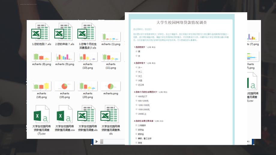 大学生校园网络贷款调查报告_第2页