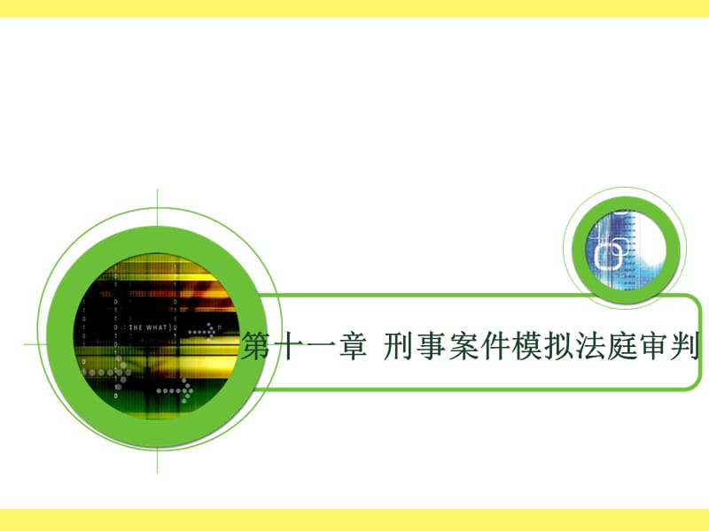 十一章刑事案件模拟法庭审判培训资料_第1页