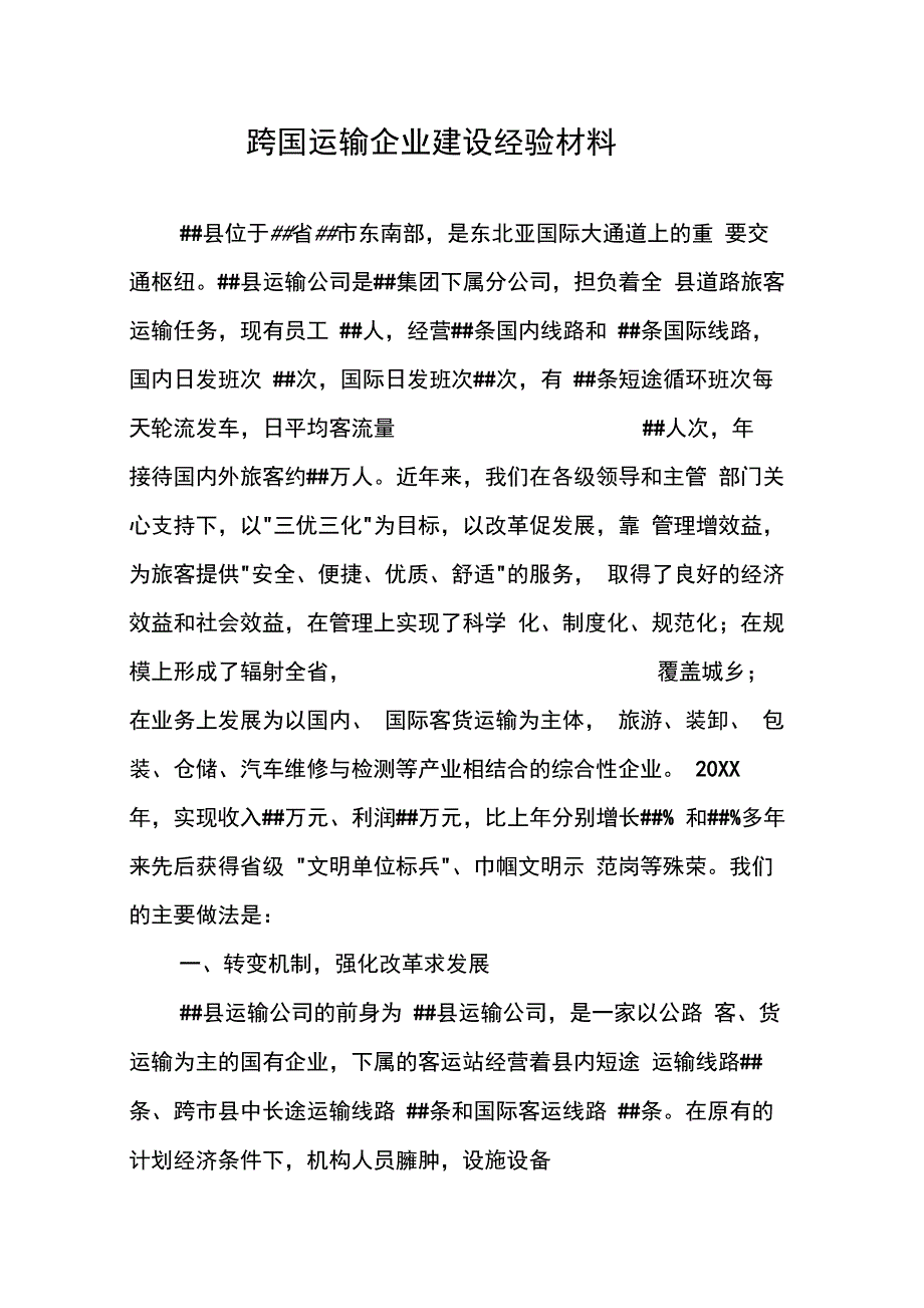 202X年跨国运输企业建设经验材料_第1页