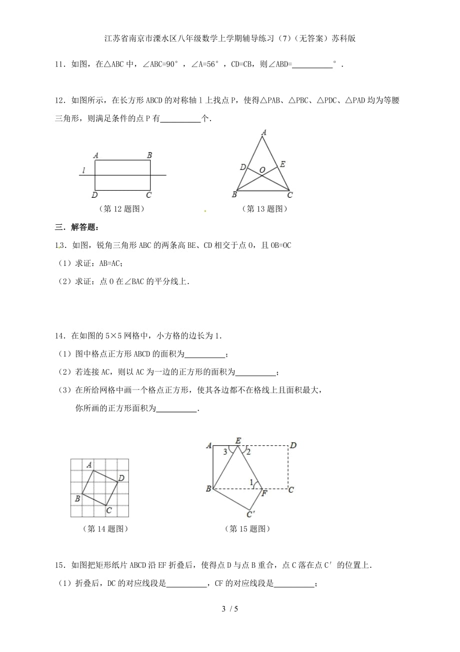 江苏省南京市溧水区八年级数学上学期辅导练习（7）（无答案）苏科版_第3页