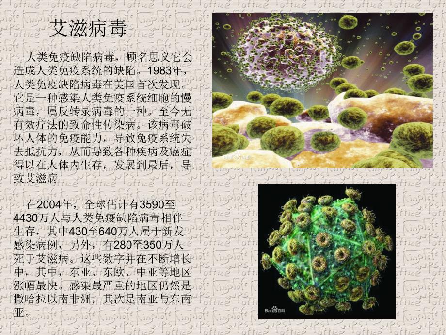 历史10大病毒[11页]_第4页