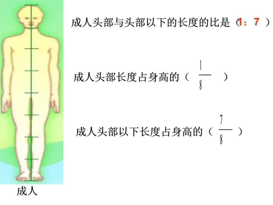 人体中有趣的比资料讲解_第5页