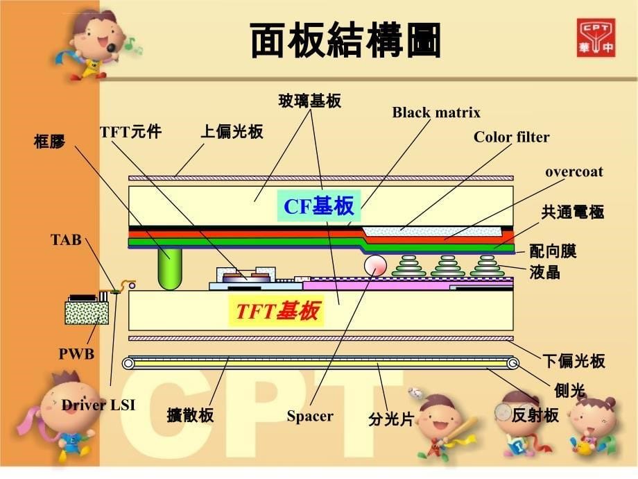 孙晓红-CELL解析介绍(T)_第5页