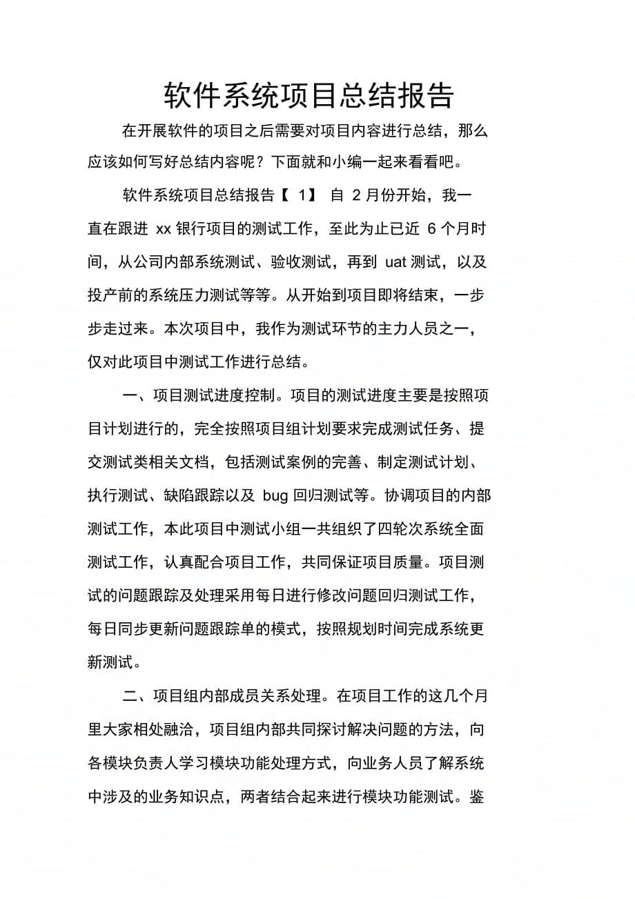 202X年软件系统项目总结报告_第1页