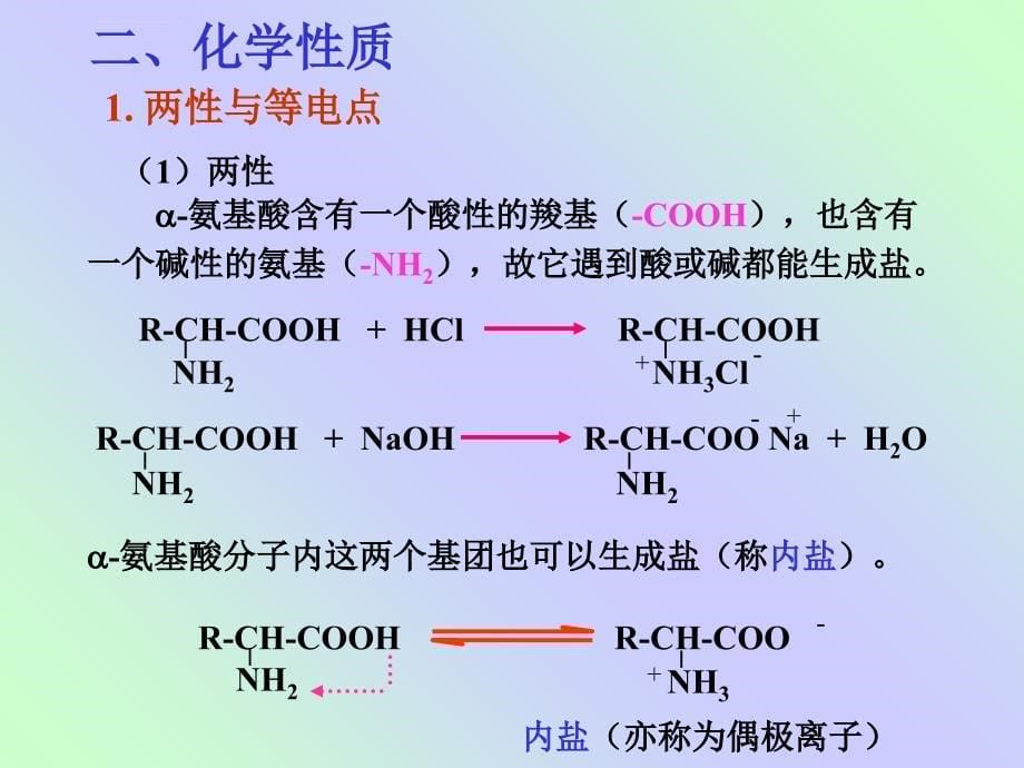 大学有机化学19 氨基酸、蛋白质和核酸_第5页